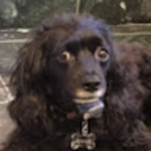 Meet your Posher, Janie